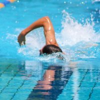 Swimming Pool Liners: The Ultimate Guide